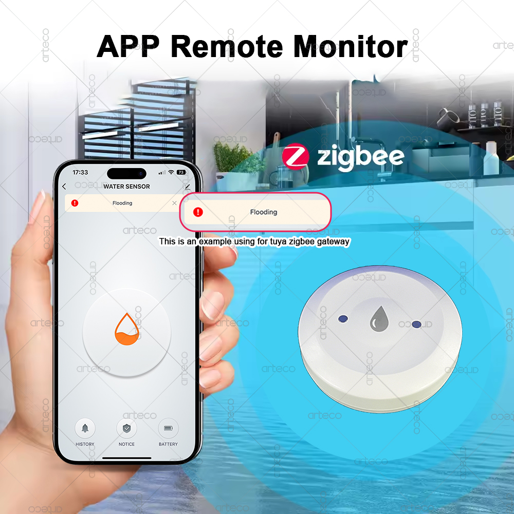 Smart Zigbee Water Sensor Floo - đánh giá và giá Zigbee Gateway