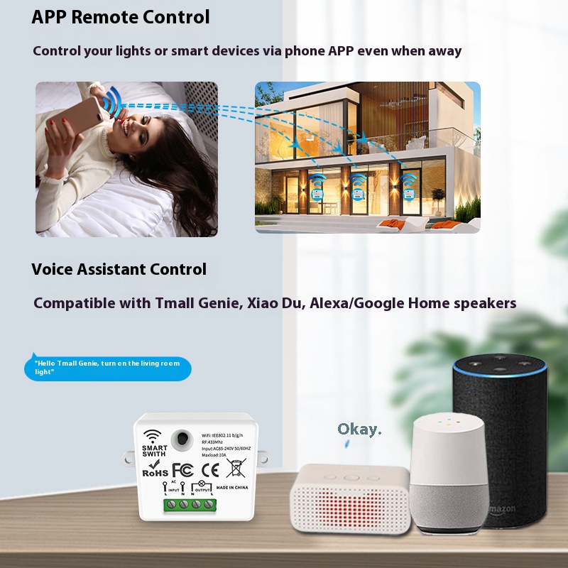 The Tuya Smart Switch-Off Devi - đánh giá và giá Smart Home Voice Control