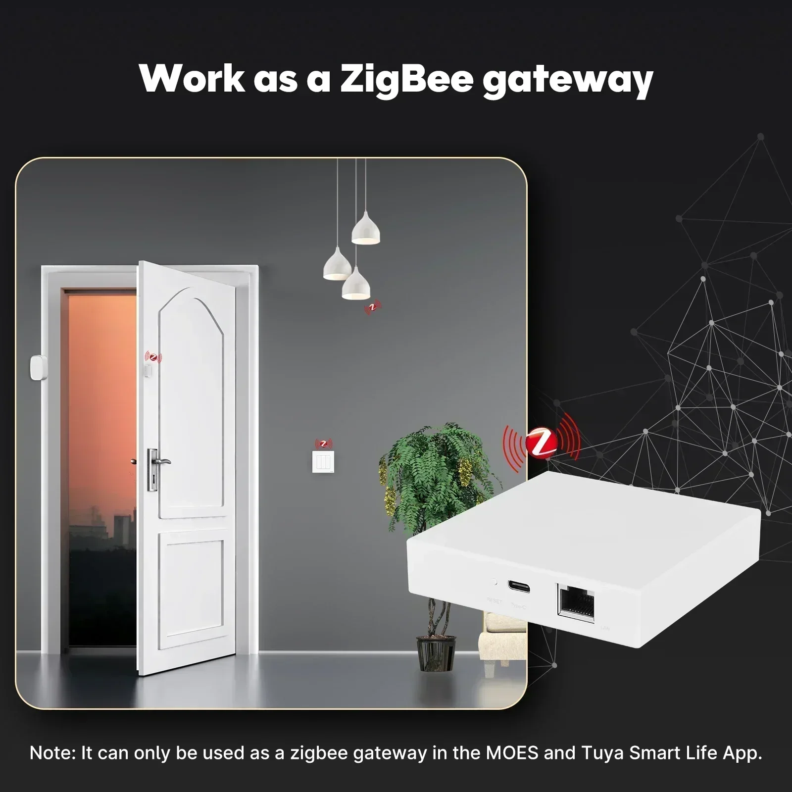 MOES Tuya Zigbee Matter Thread - đánh giá và giá Smart Home Dashboard