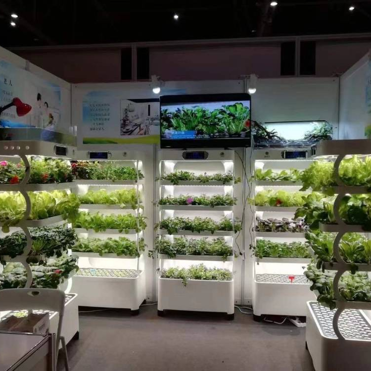 Intelligent Hydroponic Growing - đánh giá và giá Smart Home System