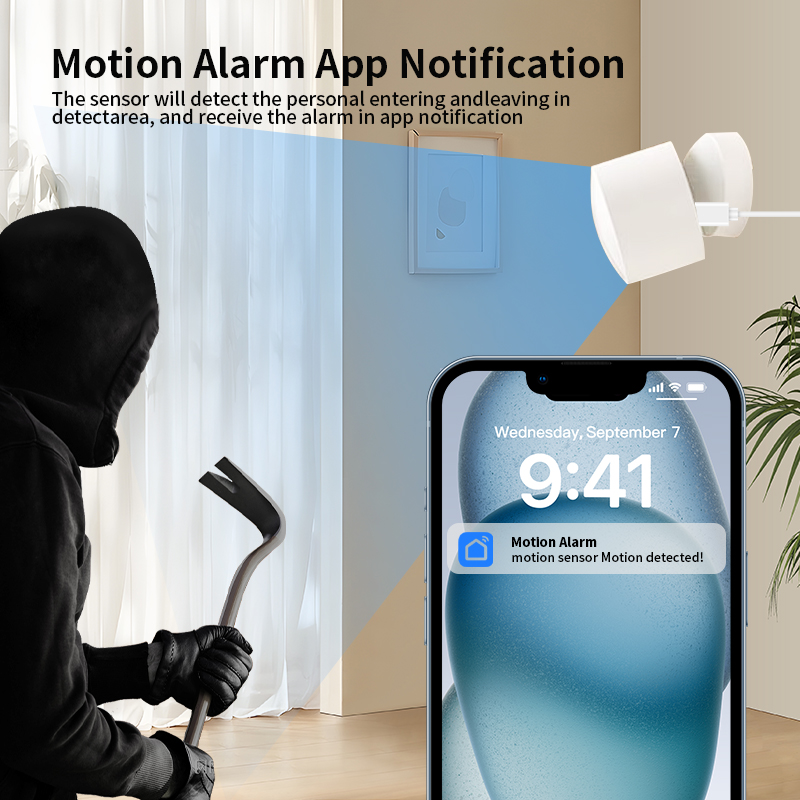 Zigbee or Wi-Fi Human Presence - đánh giá và giá Smart Home Or Smart Home