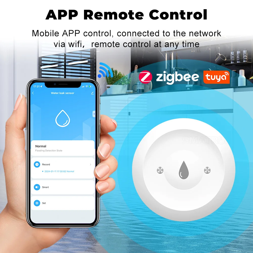 Tuya ZigBee Smart Water Immers - đánh giá và giá Zigbee Gateway
