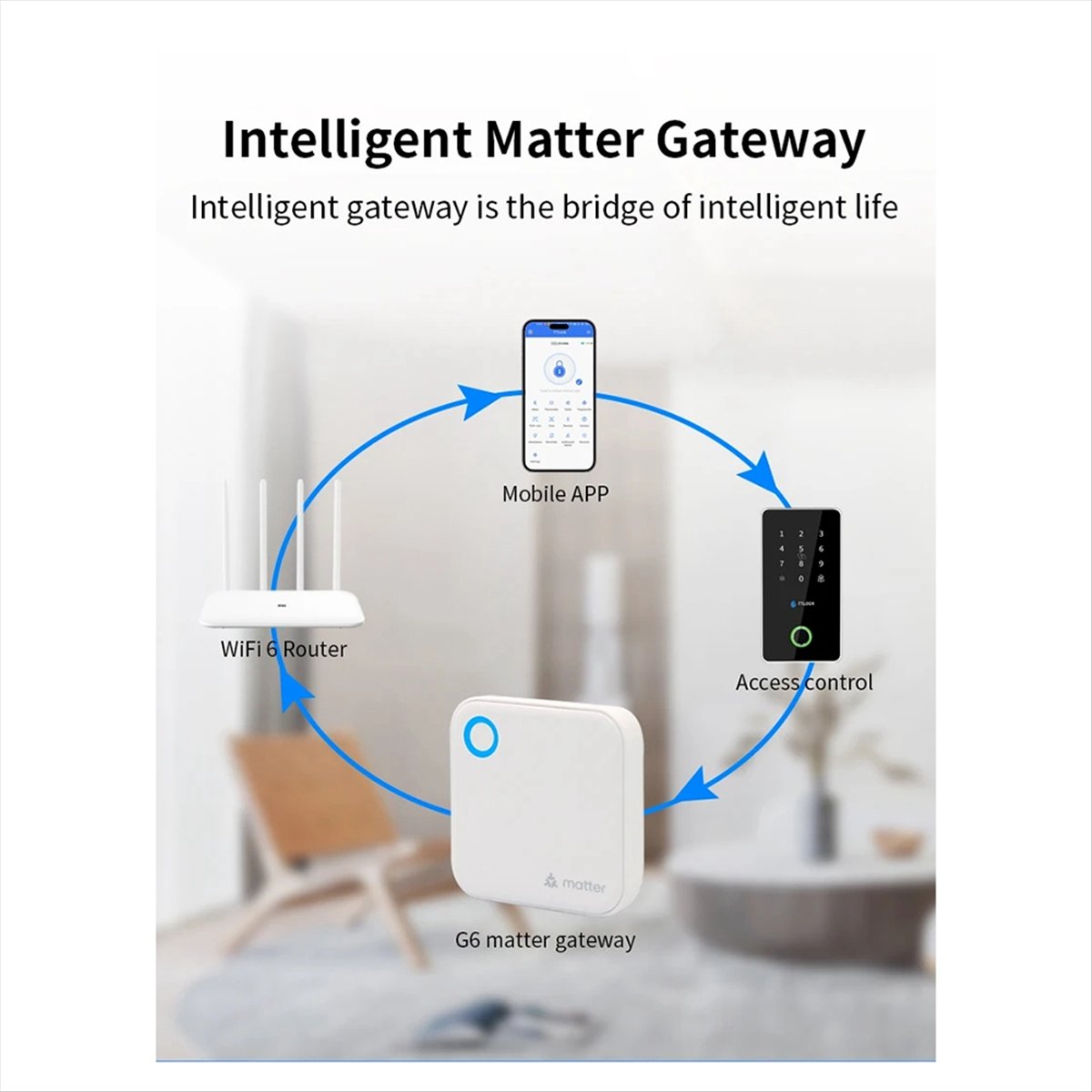 TTLOCK G6 Smart Matter Gateway - đánh giá và giá Smart Home Router