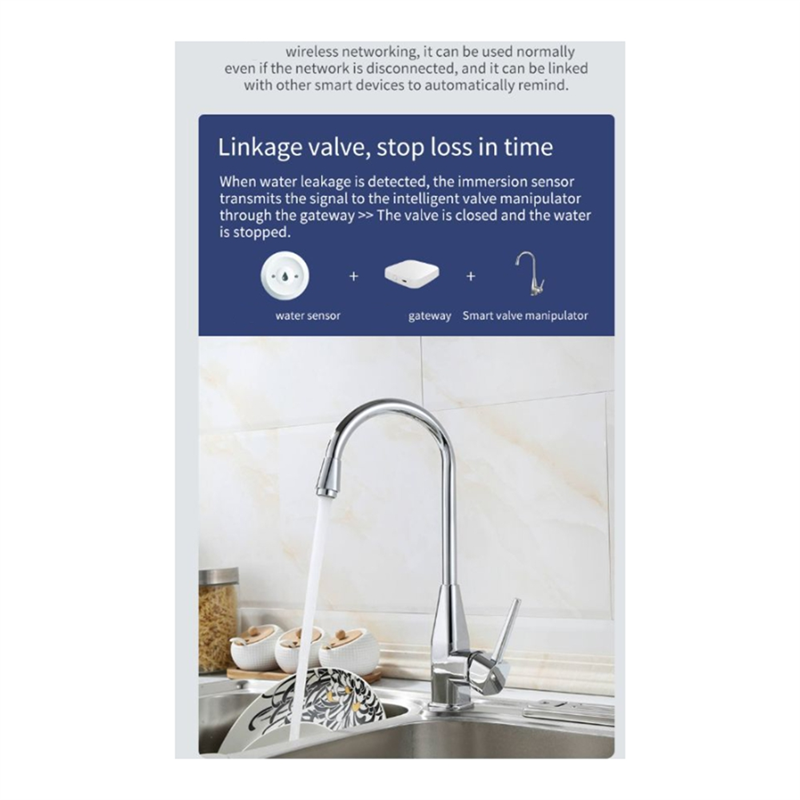 Zigbee TUYA Smart Water Leak D - đánh giá và giá Zigbee Gateway