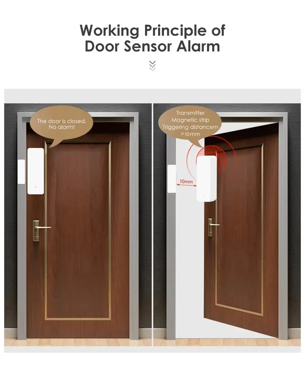 Tuya Zigbee/WiFi Magnetic Door - đánh giá và giá Zigbee Gateway