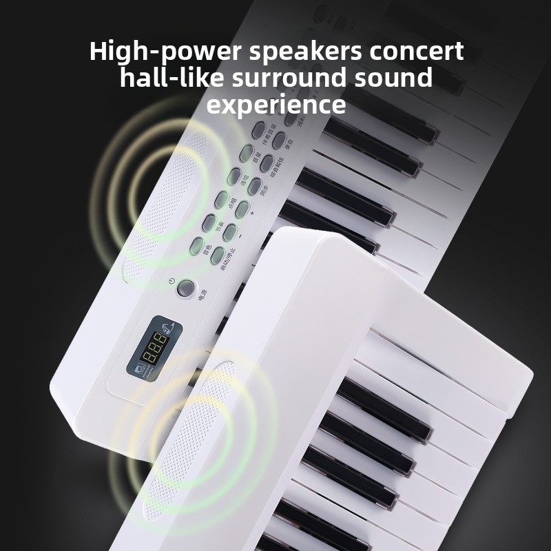 Smart Digital Piano 88 Keys Ho - đánh giá và giá Smart Home Keyboard